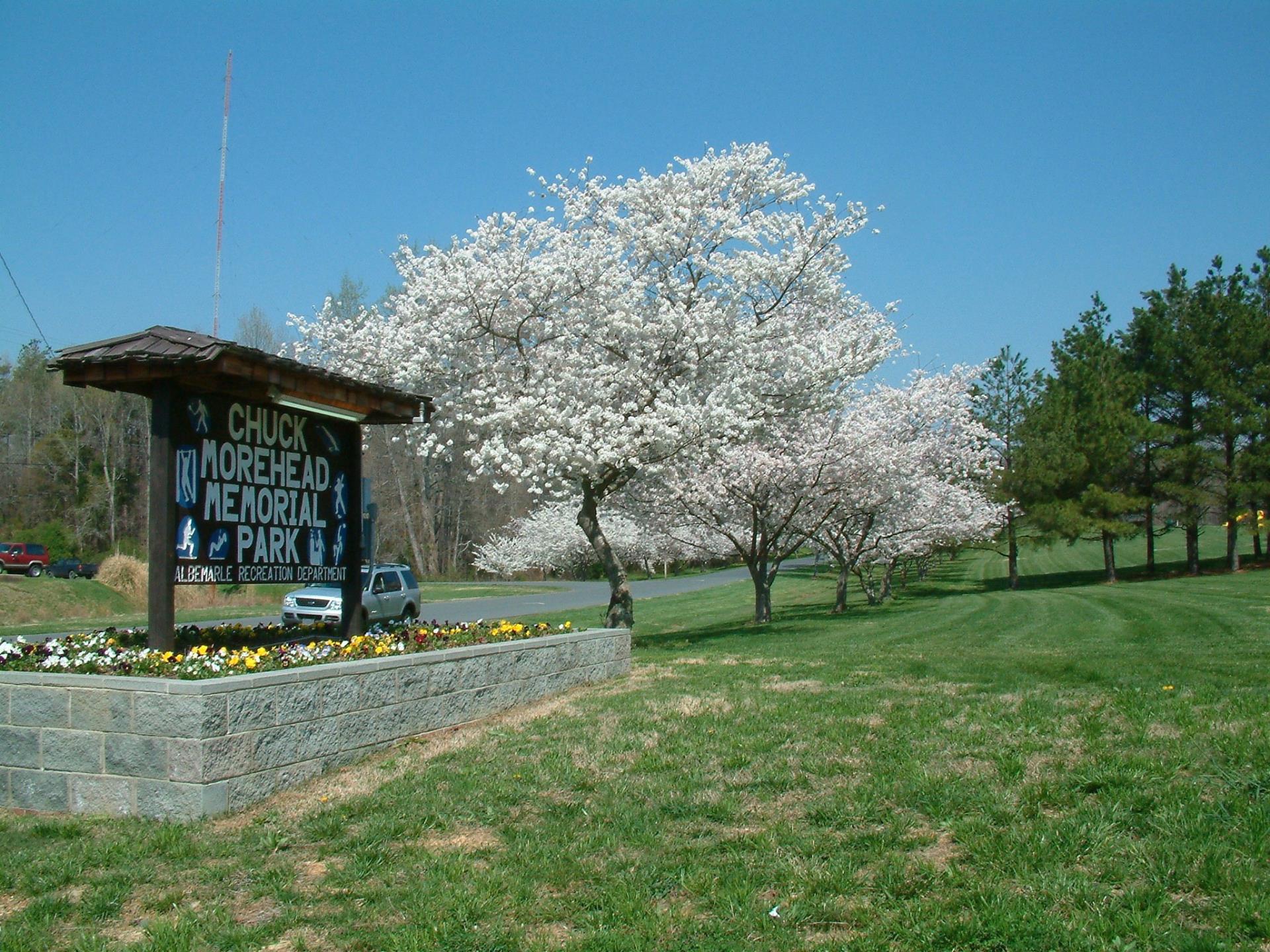Parks-Morehead Park in spring